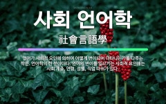 🌟사회 언어학: 언어가 사회적 요인에 의하여 어떻게 변이되어 나타나는가를 다루는 학문. 언어학의 한 분야이... - 표준국어대사전