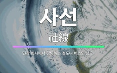 🌟사선: 민간 회사에서 경영하는 철도나 버스의 선로. - 표준국어대사전