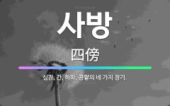 🌟사방: 심장, 간, 허파, 콩팥의 네 가지 장기. - 표준국어대사전