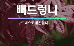 🌟뻐드렁니: 밖으로 벋은 앞니. - 표준국어대사전