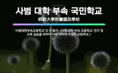 🌟사범 대학 부속 국민학교: ‘사범대학부속초등학교’의 전 용어. (사범 대학 부속 초등학교: 연구 및 교육... - 표준국어대사전