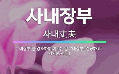 🌟사내장부: ‘대장부’를 강조하여 이르는 말. (대장부: 건장하고 씩씩한 사내.) - 표준국어대사전