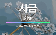 🌟사금: 사례의 뜻으로 주는 돈. - 표준국어대사전