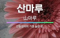 🌟산마루: 산등성이의 가장 높은 곳. - 표준국어대사전