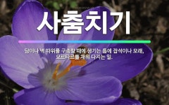 🌟사춤치기: 담이나 벽 따위를 구축할 때에 생기는 틈에 잡석이나 모래, 모르타르를 채워 다지는 일. - 표준국어대사전