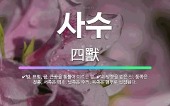 🌟사수: 범, 표범, 곰, 큰곰을 통틀어 이르는 말., 네 방향을 맡은 신. 동쪽은 청룡, 서쪽은 백호, ... - 표준국어대사전