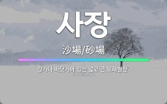 🌟사장: 강가나 바닷가에 있는 넓고 큰 모래벌판. - 표준국어대사전
