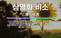🌟삼염화 비소: 비소의 삼염화물. 상온에서 무색이나 옅은 노란색의 기름 모양 액체로, 200℃로 가열한 삼... - 표준국어대사전