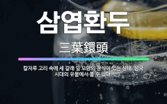 🌟삼엽환두: 칼자루 고리 속에 세 갈래 잎 모양의 장식이 있는 상태. 삼국 시대의 유물에서 볼 수 있다. - 표준국어대사전