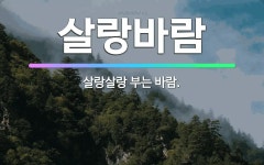 🌟살랑바람: 살랑살랑 부는 바람. - 표준국어대사전