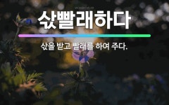 🌟삯빨래하다: 삯을 받고 빨래를 하여 주다. - 표준국어대사전