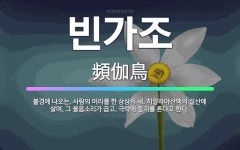 🌟빈가조: 불경에 나오는, 사람의 머리를 한 상상의 새. 히말라야산맥의 설산에 살며, 그 울음소리가 곱고,... - 표준국어대사전