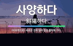 🌟사양하다: (비유적으로) 새로운 것에 밀려 점점 몰락해 가다. - 표준국어대사전