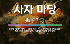 🌟사자 마당: 탈춤이나 탈놀이에서, 사자탈을 쓰고 나와 갖가지 재주를 벌이는 춤판. 북청 사자놀음, 봉산 ... - 표준국어대사전