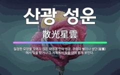 🌟산광 성운: 일정한 모양을 갖추지 않은 태양계 안의 성운. 주위의 별이나 성단(星團)에서 빛을 받거나 그... - 표준국어대사전