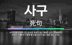 🌟사구: 시문(詩文)에서 깊고 은은한 정취가 없는 평범한 글귀., 평범하고 속되어 선(禪)의 수행에 별 도... - 표준국어대사전