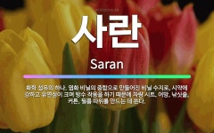 🌟사란: 화학 섬유의 하나. 염화 비닐의 중합으로 만들어진 비닐 수지로, 시약에 강하고 유연성이 크며 방수... - 표준국어대사전