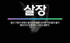 🌟살장: 광산 구덩이 속에서 동바리와 띳장 사이에 끼워 흙과 돌이 떨어지지 않게 하는 나무나 널빤지. - 표준국어대사전