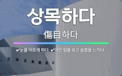 🌟상목하다: 눈을 아프게 하다., 어떤 일을 보고 슬픔을 느끼다. - 표준국어대사전