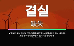 🌟결실: 일부가 빠져 없어짐. 또는 일부를 빠뜨림., 돌연변이의 하나. 유전자 또는 염색체의 일부분이 없어... - 표준국어대사전