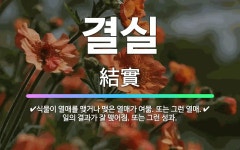 🌟결실: 일의 결과가 잘 맺어짐. 또는 그런 성과., 식물이 열매를 맺거나 맺은 열매가 여묾. 또는 그런 열매. - 표준국어대사전
