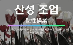 🌟산성 조업: 규산, 석영 따위의 산성 내화재를 사용하여 강철을 만드는 정련 공정. - 표준국어대사전