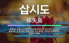 🌟삽시도: 충청남도 보령시 오천면 삽시도리에 속하는 섬. 부근 바다 수산업의 중심지로, 김 양식업이 발달하... - 표준국어대사전
