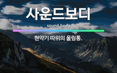 🌟사운드보디: 현악기 따위의 울림통. - 표준국어대사전