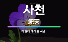 🌟사천: 하늘에 제사를 지냄. - 표준국어대사전