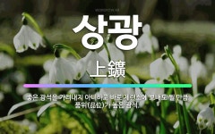 🌟상광: 좋은 광석을 가려내지 아니하고 바로 제련소에 보내도 될 만큼 품위(品位)가 높은 광석. - 표준국어대사전