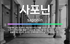 🌟사포닌: 식물계에 널리 존재하는 배당체로 비당(非糖) 부분이 여러 고리 화합물로 이루어진 배당체를 통틀어... - 표준국어대사전