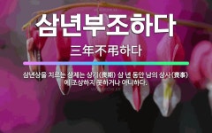 🌟삼년부조하다: 삼년상을 치르는 상제는 상기(喪期) 삼 년 동안 남의 상사(喪事)에 조상하지 못하거나 아니하다. - 표준국어대사전