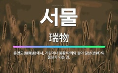 🌟서물: 음양도(陰陽道)에서, 기린이나 봉황 따위와 같이 길상(吉祥)의 증표가 되는 것. - 표준국어대사전
