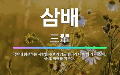 🌟삼배: 극락에 왕생하는 사람을 수행의 정도에 따라 나눈 세 가지. 상배, 중배, 하배를 이른다. - 표준국어대사전