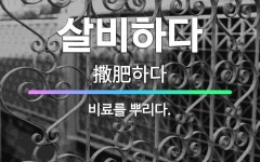 🌟살비하다: 비료를 뿌리다. - 표준국어대사전