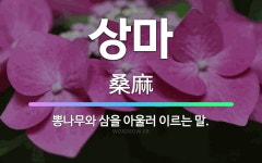 🌟상마: 뽕나무와 삼을 아울러 이르는 말. - 표준국어대사전