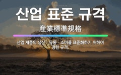 🌟산업 표준 규격: 산업 제품의 생산ㆍ유통ㆍ소비를 표준화하기 위하여 정한 규격. - 표준국어대사전