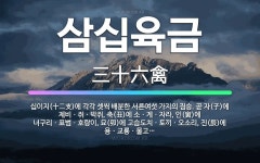 🌟삼십육금: 십이지(十二支)에 각각 셋씩 배분한 서른여섯 가지의 짐승. 곧 자(子)에 제비ㆍ쥐ㆍ박쥐, 축(... - 표준국어대사전
