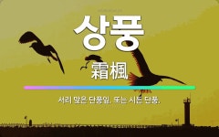 🌟상풍: 서리 맞은 단풍잎. 또는 시든 단풍. - 표준국어대사전