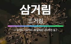 🌟삼거림: → 삼거리. (삼거리: 세 갈래로 나누어진 길.) - 표준국어대사전