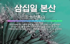 🌟삼십일 본산: 우리나라에 있는 서른한 곳의 불교 본산. 1911년에 조선 총독부에서 우리나라 불교를 통제... - 표준국어대사전