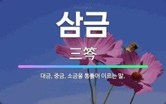 🌟삼금: 대금, 중금, 소금을 통틀어 이르는 말. - 표준국어대사전