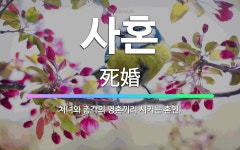 🌟사혼: 처녀와 총각의 영혼끼리 시키는 혼인. - 표준국어대사전