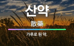 🌟산약: 가루로 된 약. - 표준국어대사전