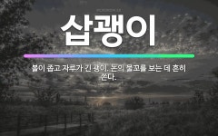 🌟삽괭이: 볼이 좁고 자루가 긴 괭이. 논의 물꼬를 보는 데 흔히 쓴다. - 표준국어대사전