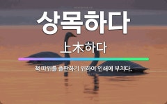 🌟상목하다: 책 따위를 출판하기 위하여 인쇄에 부치다. - 표준국어대사전
