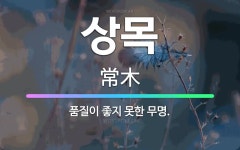 🌟상목: 품질이 좋지 못한 무명. - 표준국어대사전