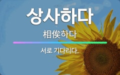 🌟상사하다: 서로 기다리다. - 표준국어대사전