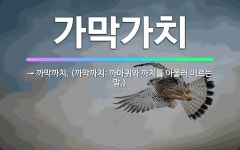 🌟가막가치: → 까막까치. (까막까치: 까마귀와 까치를 아울러 이르는 말.) - 표준국어대사전
