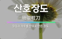 🌟산호장도: 칼집과 자루를 산호로 만든 장도. - 표준국어대사전